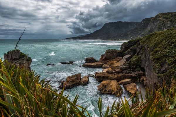 Punakaiki kusten — Stockfoto