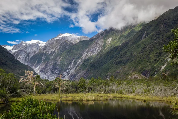 Franz Josef glacier — Stock fotografie