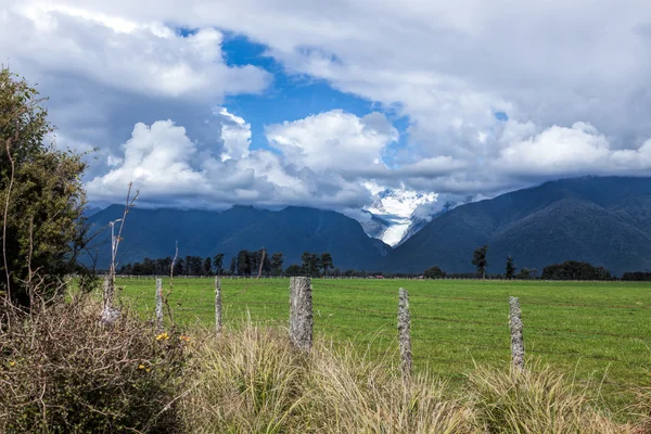 Fox Glacier — Stockfoto