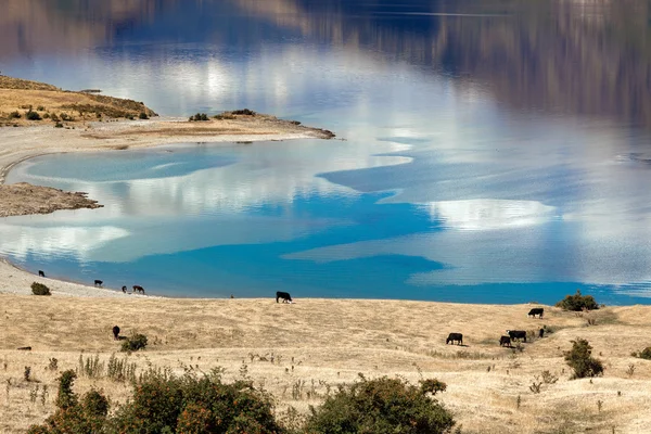 Lago Hawea — Fotografia de Stock