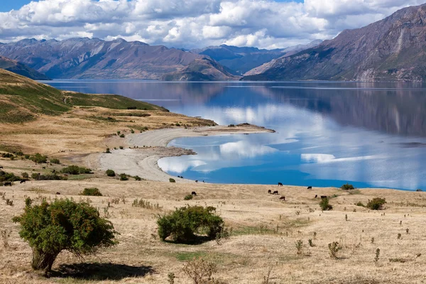 Lake Hawea — Stockfoto