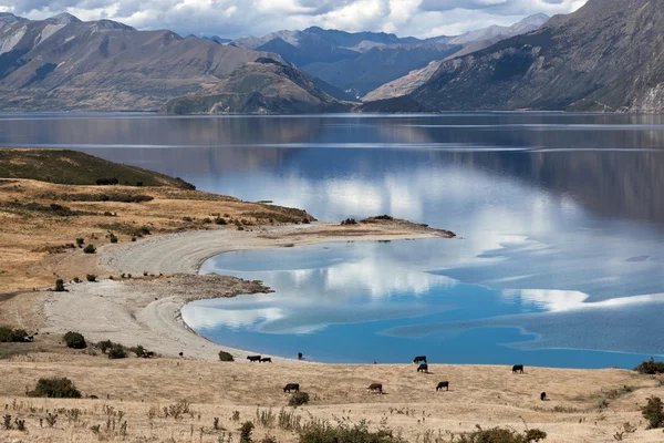 Lake Hawea — Stockfoto