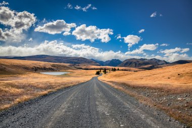 Road yanında lake tekapo