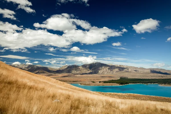 Tekapo-søen - Stock-foto