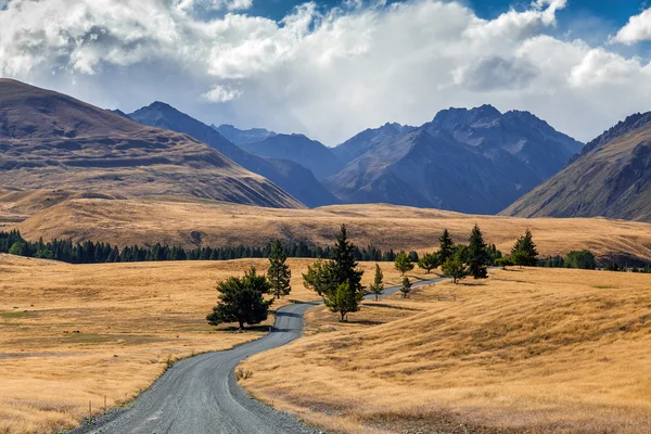 Väg vid sidan av lake tekapo — Stockfoto