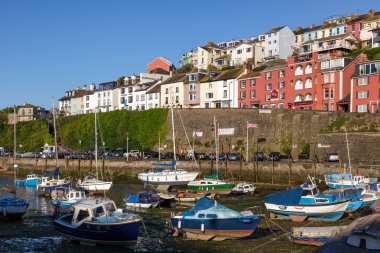 Brixham Limanı