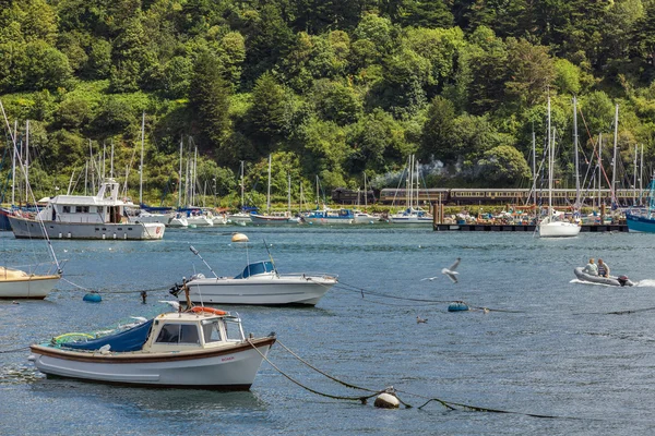 Blick über den Fluss Dart in Richtung Königsbekleidung — Stockfoto