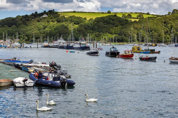 Scenic view up the River Dart — Stock Photo, Image