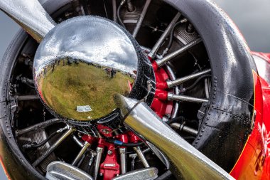 Kırmızı rockette yakın çekim