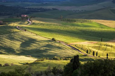 kırsal val d'orcia Toskana