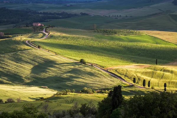 Countryside of Val d'Orcia Tuscany — Stock Photo, Image