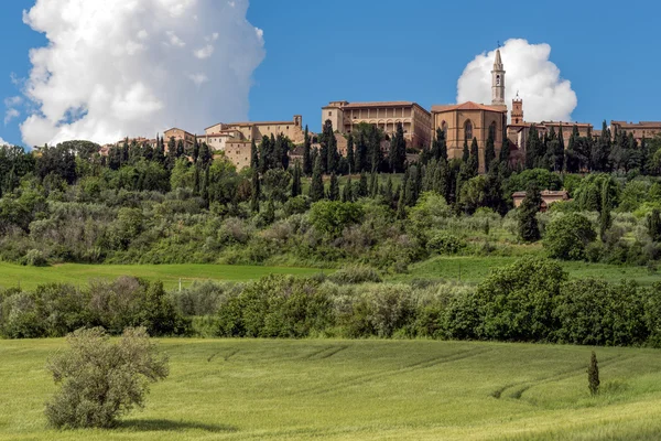 Pohled pienza — Stock fotografie