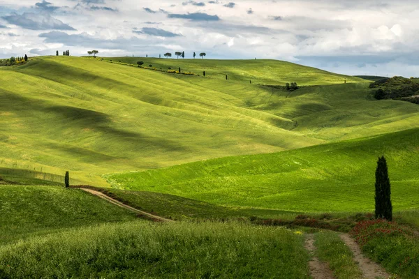 Uitzicht op het schilderachtige Toscaanse platteland — Stockfoto