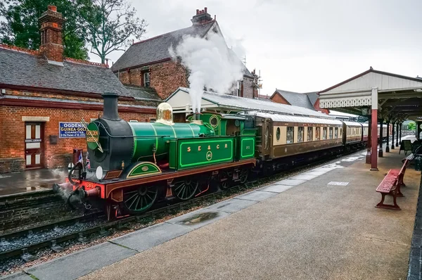 Flèche dorée avec Pullman Cars — Photo