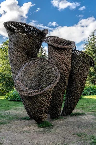 Tom zając grzybów fairy ring — Zdjęcie stockowe