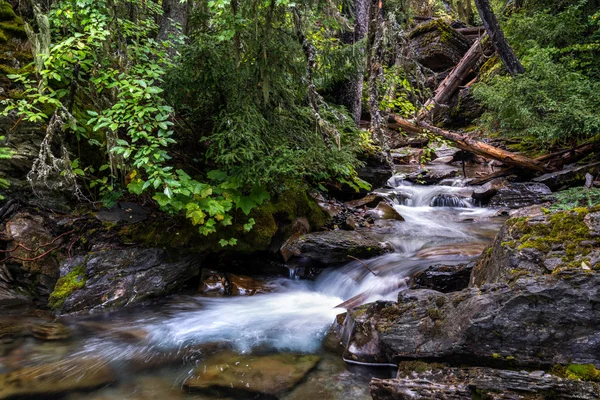 Ολλανδία creek — Φωτογραφία Αρχείου