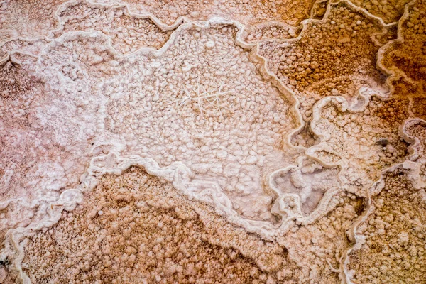 Mammoth hot springs — Stockfoto