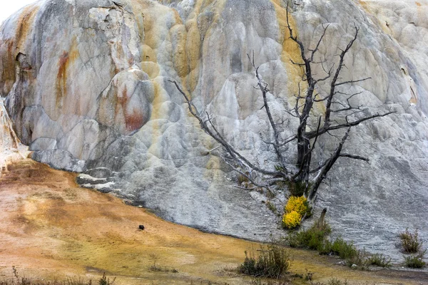 Mammoth Hot Springs — Stock Photo, Image