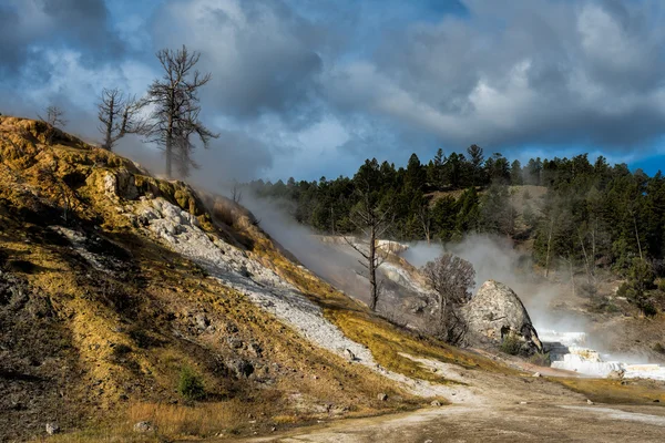 Mamute Hot Springs — Fotografia de Stock