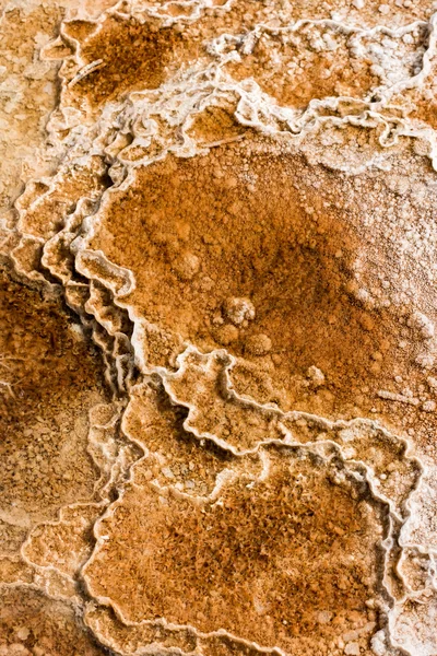 Mammoth hot springs — Stockfoto