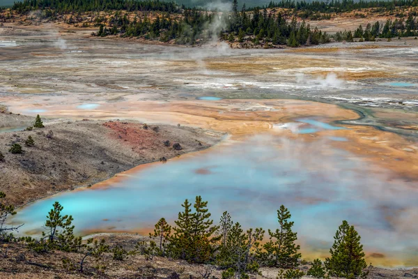 Norris Geysers bäcken — Stockfoto