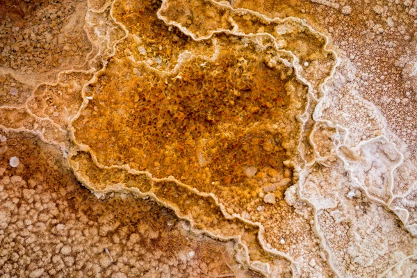 Mammoth Hot Springs Stock Image