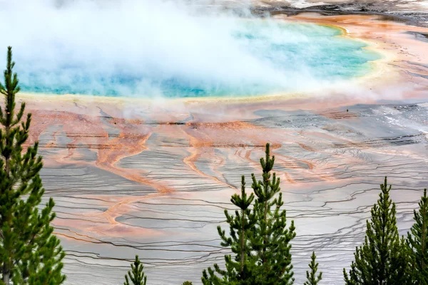 Grand Prismatic Spring — Stock Photo, Image