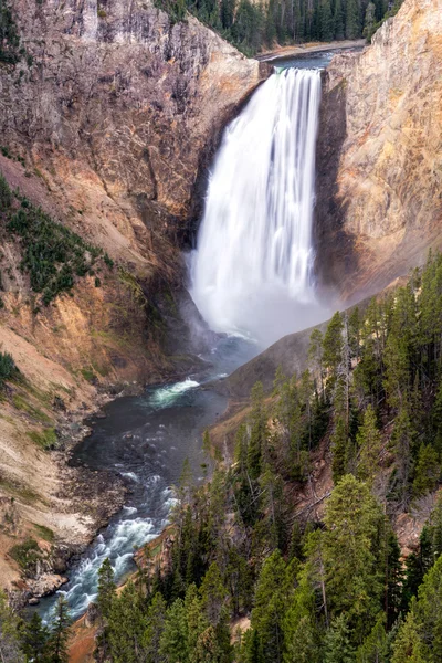 Lower Yellowstone Falls — Stok fotoğraf