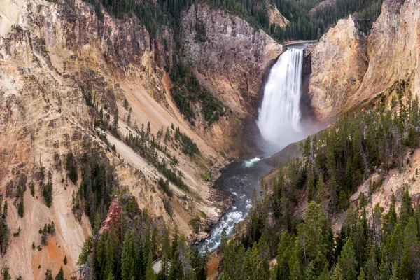 Lower Yellowstone Falls — Stock Photo, Image