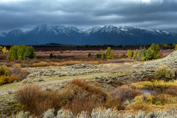 Herbst im Grand Tetons — Stockfoto