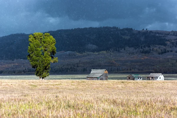 Mormon Row — Stock Photo, Image