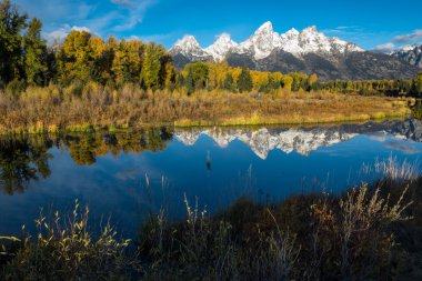 schwabachers açılış