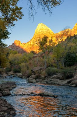 Zion national park utah sonbahar manzara bakire