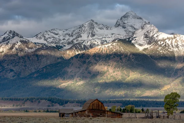 Rangée de mormons — Photo