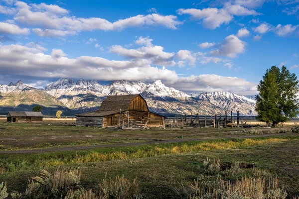 Mormonenreihe — Stockfoto