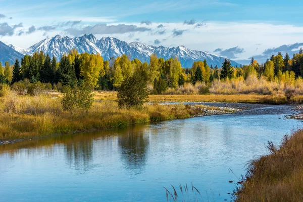 Autumnal Colours in the Grand Teton National Park — Stock Photo, Image