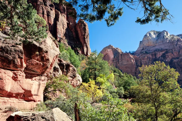 Zion National Park Utah in autumn — Stock Photo, Image