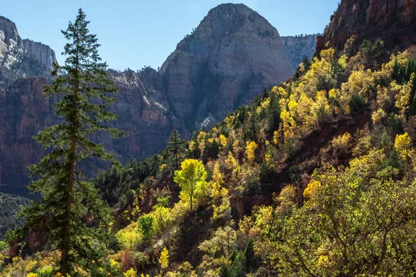 Zion National Park Utah in autumn — Stock Photo, Image
