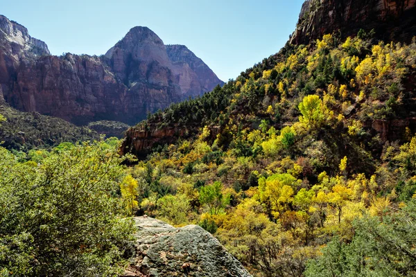 Národní park zion krásné údolí — Stock fotografie