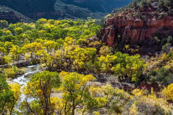 Zion národní park utah na podzim — Stock fotografie