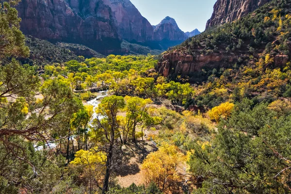 Groene virgin rivierdal — Stockfoto