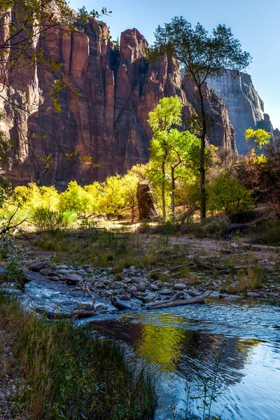 Reflexión en el río Virgen —  Fotos de Stock