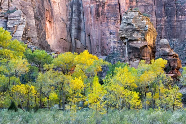 Pulpit Rock Zion National Park — Stock Photo, Image