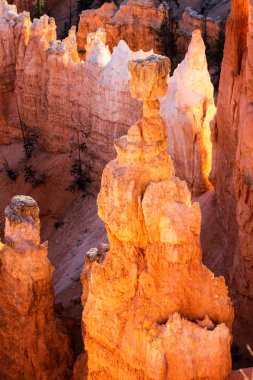 Bryce Canyon Güney Utah ABD doğal görünümünü