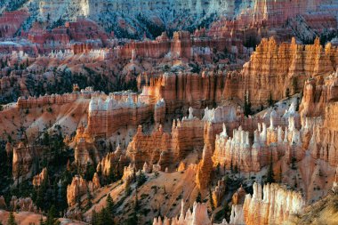 Bryce Canyon Güney Utah ABD doğal görünümünü