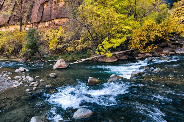 Pequeños rápidos en el río Virgen — Foto de Stock