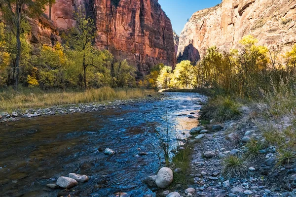 Novembre soleil tombe sur la rivière Vierge — Photo