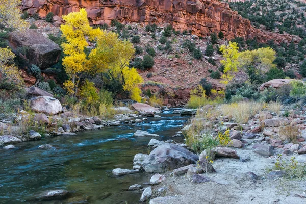 Herbst in Zion — Stockfoto