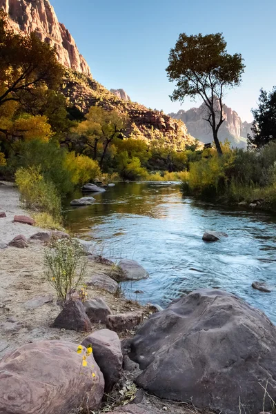 Nel tardo pomeriggio valle del Virgin River — Foto Stock