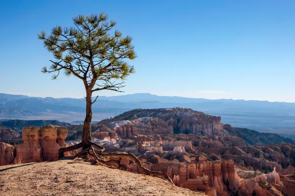 Bryce Canyon Güney Utah ABD doğal görünümünü — Stok fotoğraf